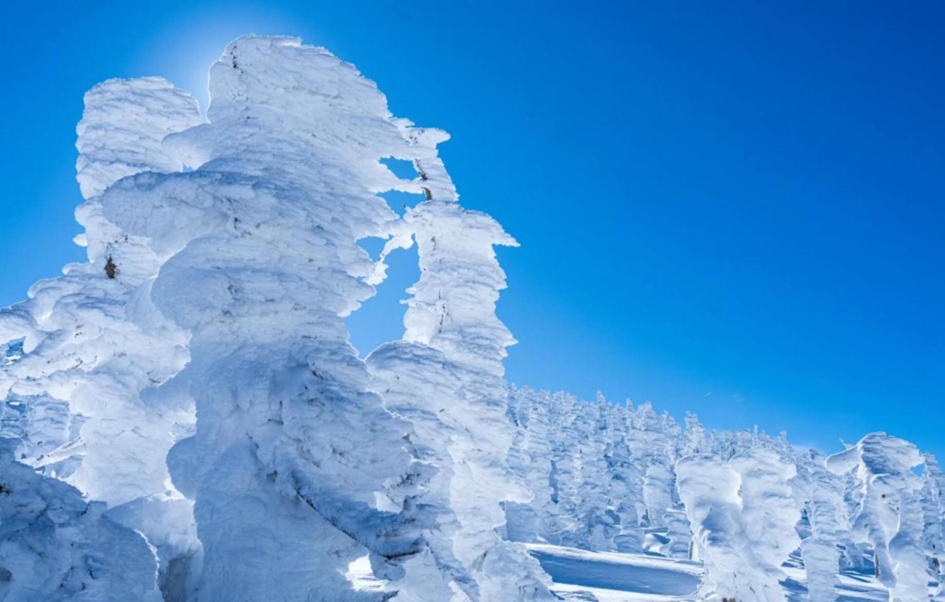 Snowfall Meteor 飛雪流星 Kaminoyama Εξωτερικό φωτογραφία