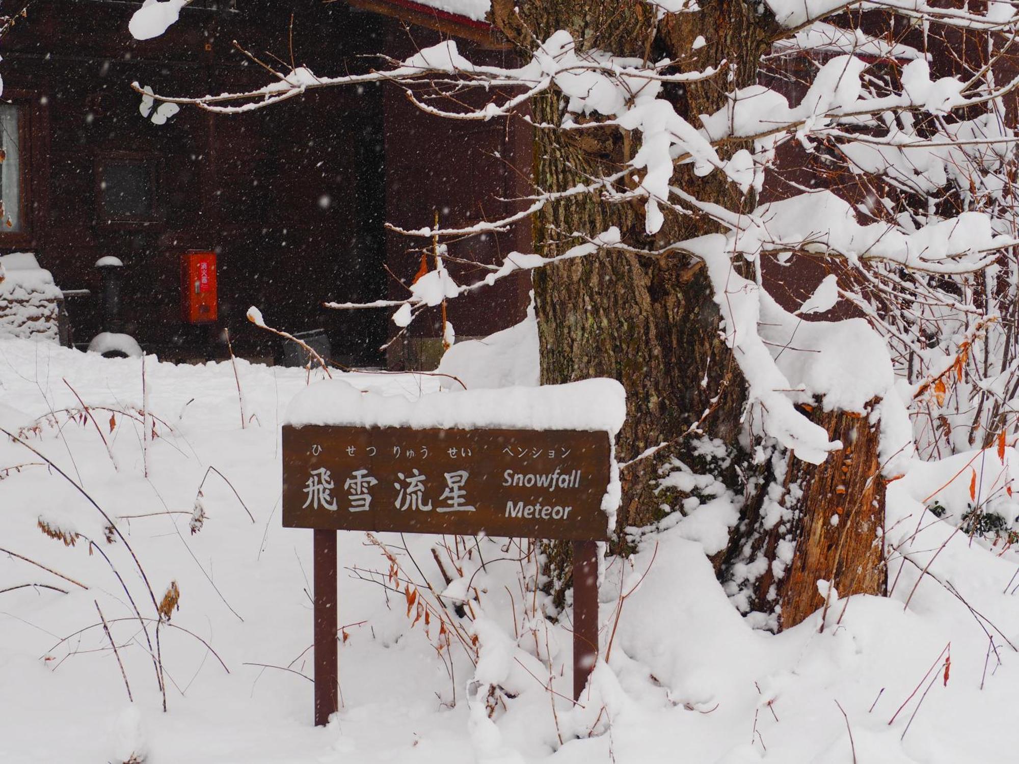 Snowfall Meteor 飛雪流星 Kaminoyama Εξωτερικό φωτογραφία
